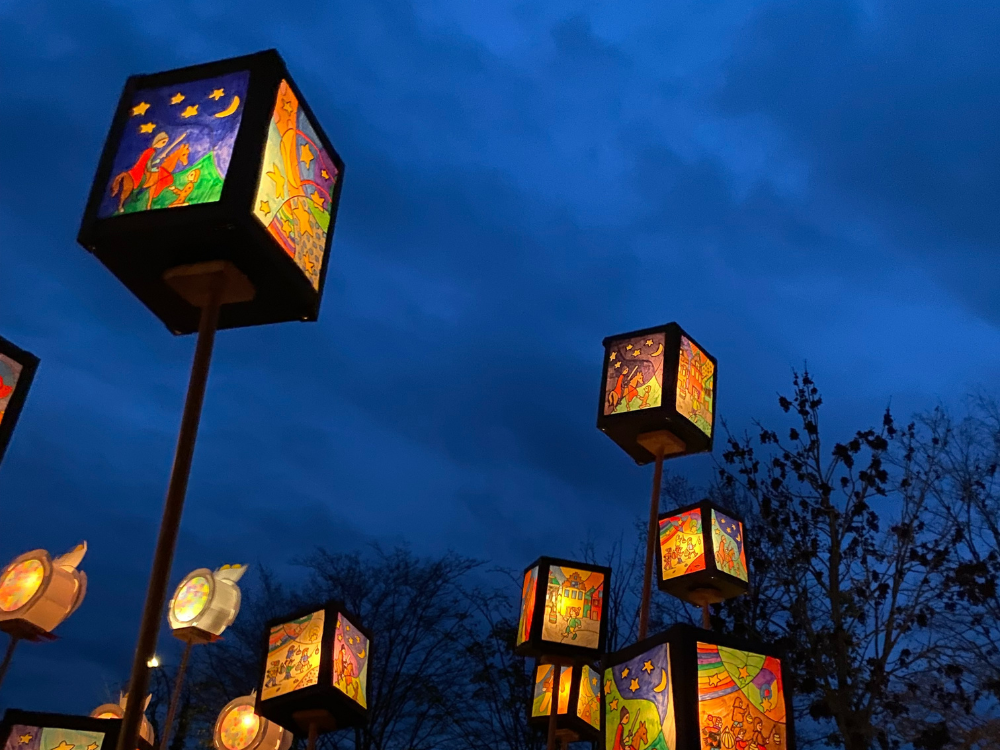 Website afbeeldingen - 1