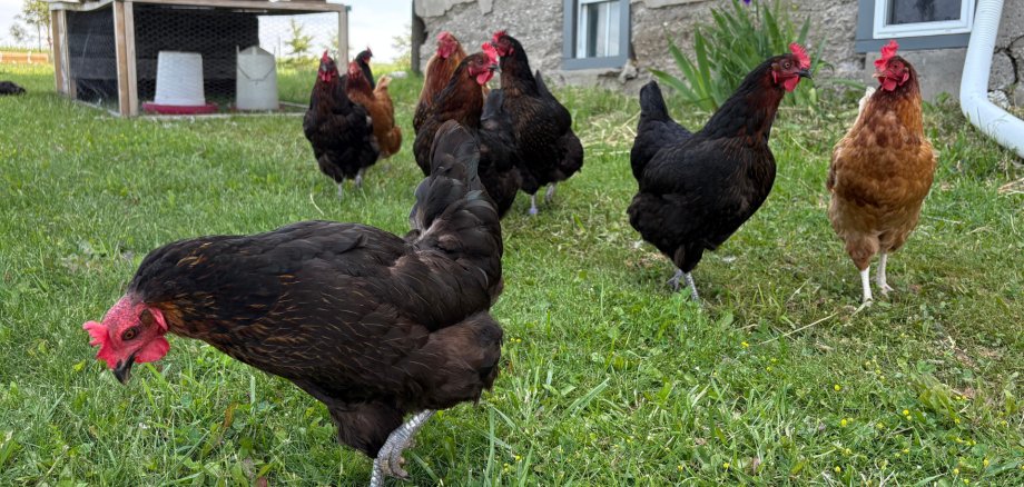 Website heeft betrekking op 16:9 - 1 Website heeft betrekking op 16:9 - 1