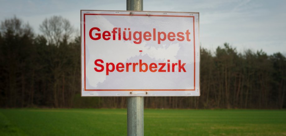 Beperkingsgebied voor aviaire influenza