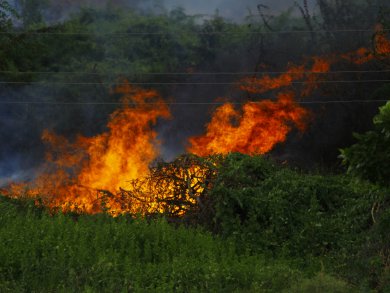 Website afbeeldingen - 1 Website afbeeldingen - 1