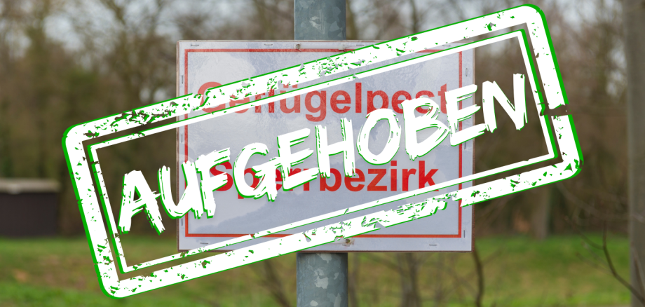20_Pluimveeplaag waarschuwing geannuleerd_januari 2025