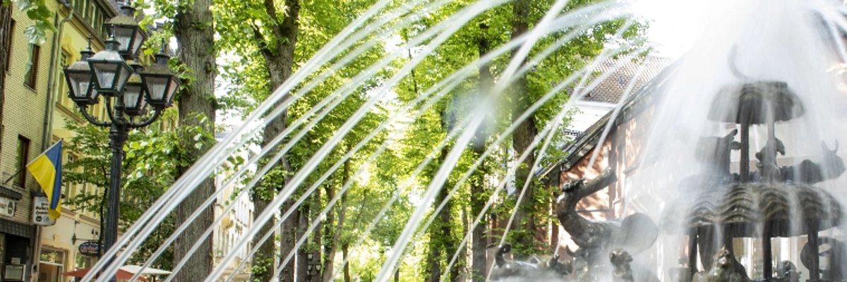 Ark van Noach fontein in actie