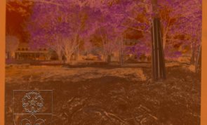 Наше місто розквітає у 2001 році Наше місто розквітає у 2001 році