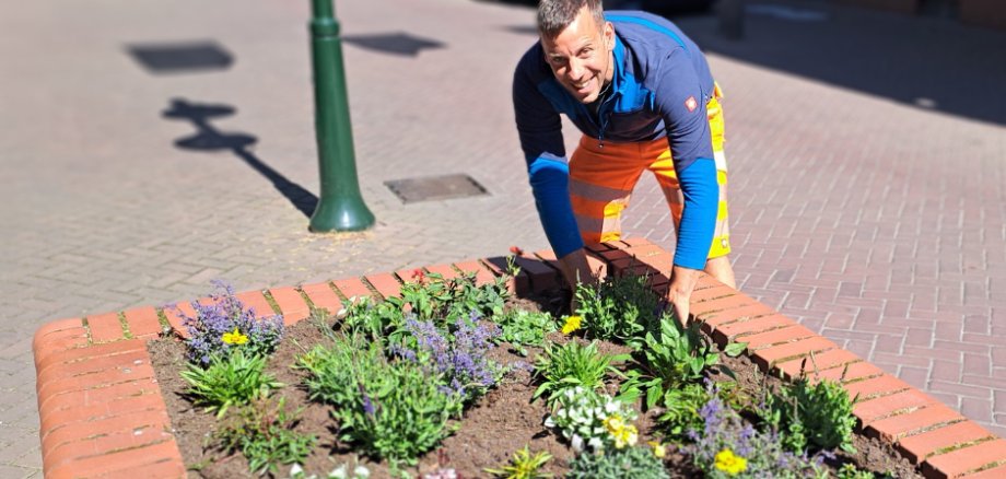 Betriebshofmitarbeiter bepflanzt Blumehochbeet