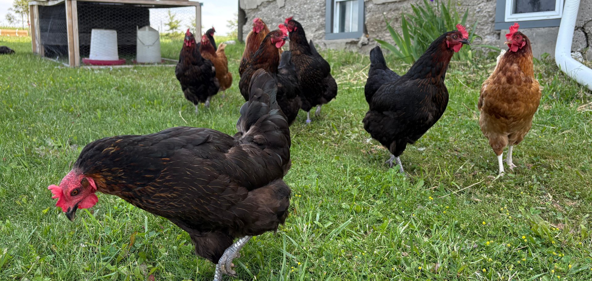 Website Titelbilder 16:9 - 1