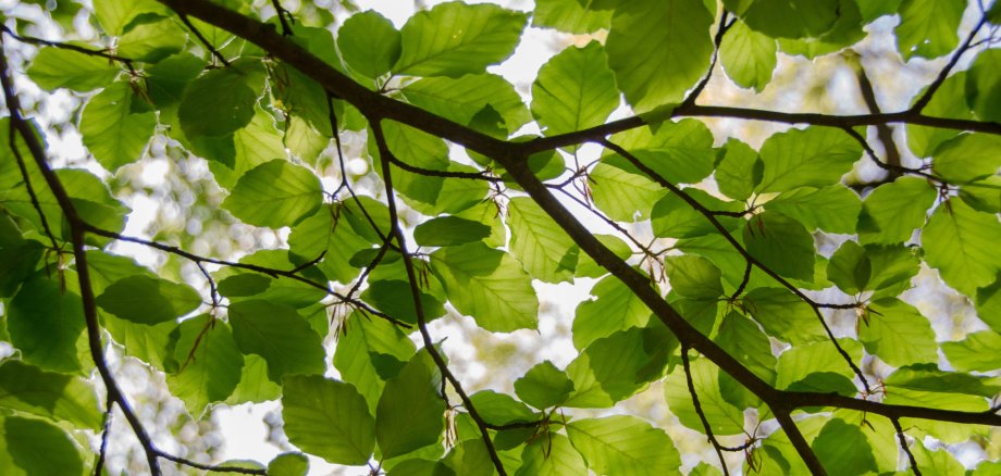 Website Titelbilder 16:9 - 1
